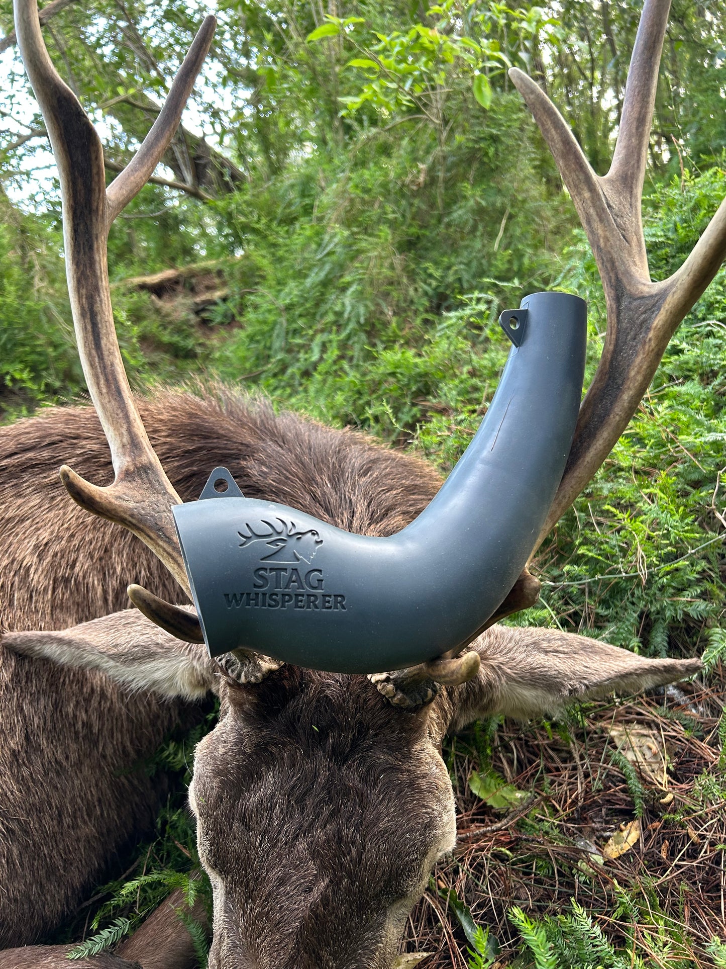 Roaring horn